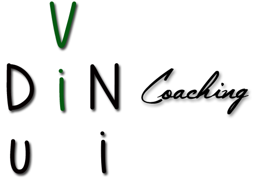 ViDuNi Logotyp